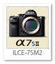 α7SII 「ILCE-7SM2」 フルサイズ Eマウント デジタル一眼カメラ