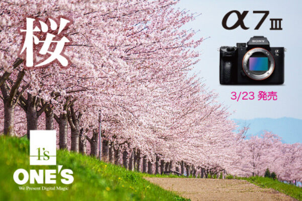 α7iii ilce-7m3 a7iii 桜 撮影