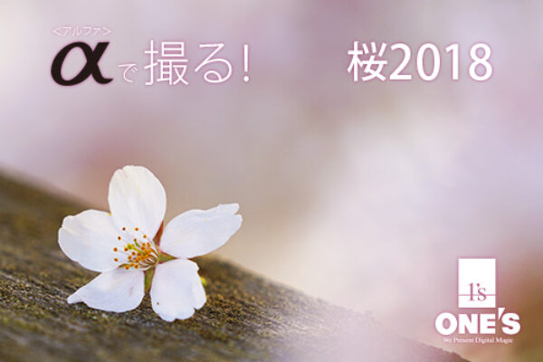 桜2018,α＜アルファ＞,デジタル一眼カメラ