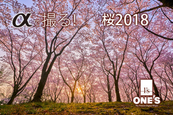 α＜アｒファ＞デジタル一眼カメラ,桜,作例,レビュー