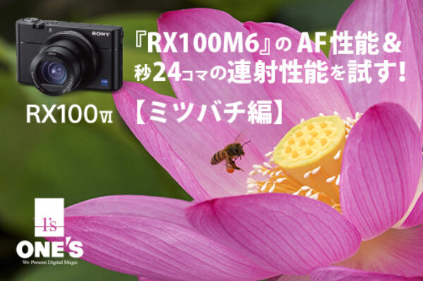 DSC-RX100M6,RX100VI,作例,レビュー,ソニーストア,sony,24-200mm,広角望遠レンズ,AF性能,連写性能