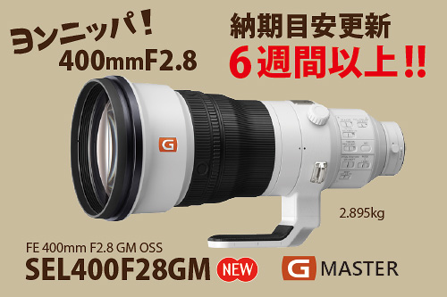 SEL400F28GM,400mmF2.8,GMレンズ,ソニーストア,sony,納期目安