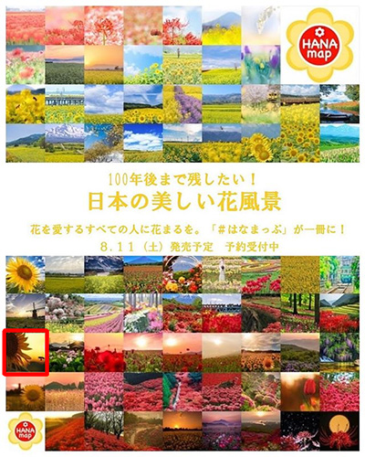 祝 8 11発売の はなまっぷ本 100年後まで残したい 日本の美しい花風景 に写真を掲載していただきました One S ソニープロショップワンズ 兵庫県小野市 カメラ ハイレゾ Vaioのレビュー満載