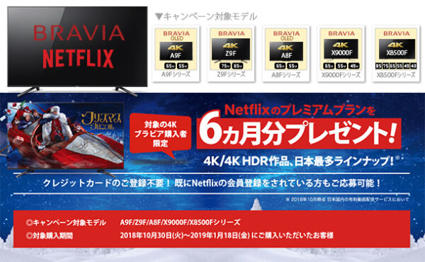 20118_10_30_01_netflix_bravia_campaign-01