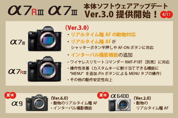 α7III,α7RIII,ILCE-7RM3,ILCE-7M3,ソフトウェアアップデート,動物のリアルタイム瞳AF