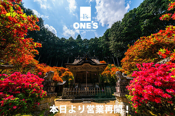 ソニーショップ,ワンズ