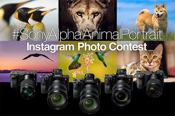 Instagaram,フォトコンテスト,アニマルポートレート,動物の瞳AF