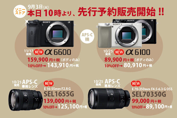 α6600,ilce-6600,sel1655g,sel70350g