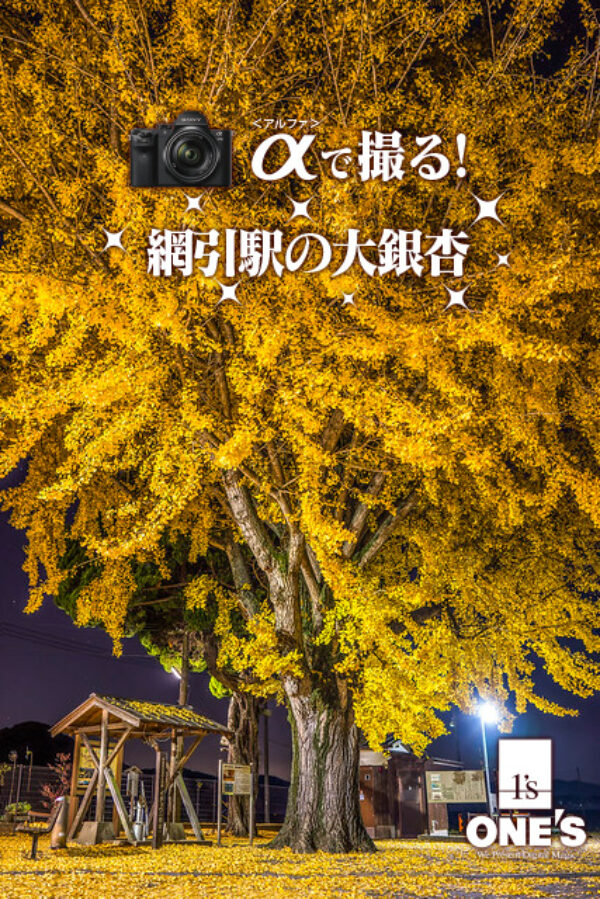 α＜アルファ＞で撮る！,網引駅,大銀杏