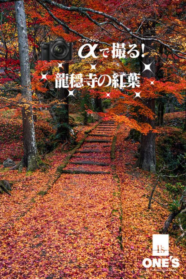 α＜アルファ＞で撮る！,龍穏寺,紅葉,α7RIII,SEL1635GM