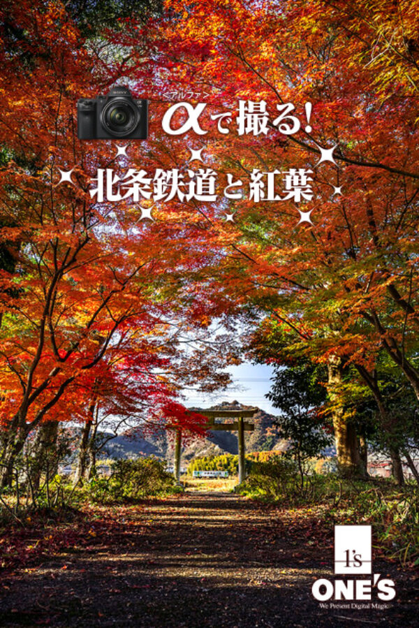 北条鉄道,紅葉,α＜アルファ＞で撮る！