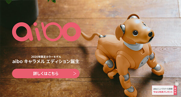 アイボ,aibo,キャラメルエディション