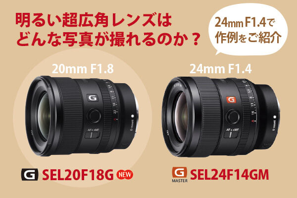 SEL20F18G,SEL24F14GM,作例