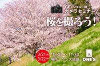 デジタル一眼カメラセミナー,桜を撮ろう