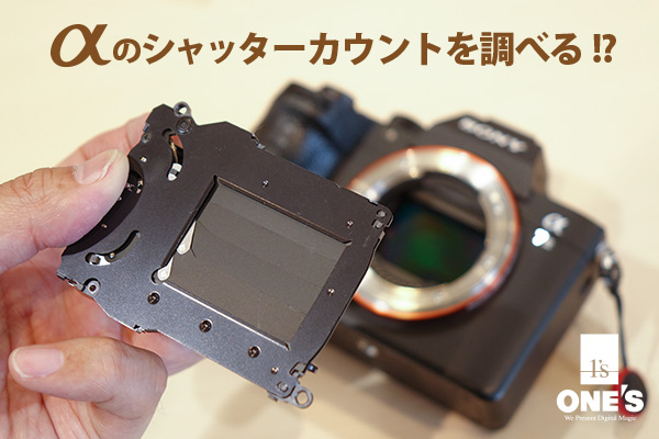 カメラ デジタルカメラ シャッターカウント - ONE'S- ソニープロショップワンズ[兵庫県小野市 