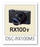 DSC-RX100M5,RX100V