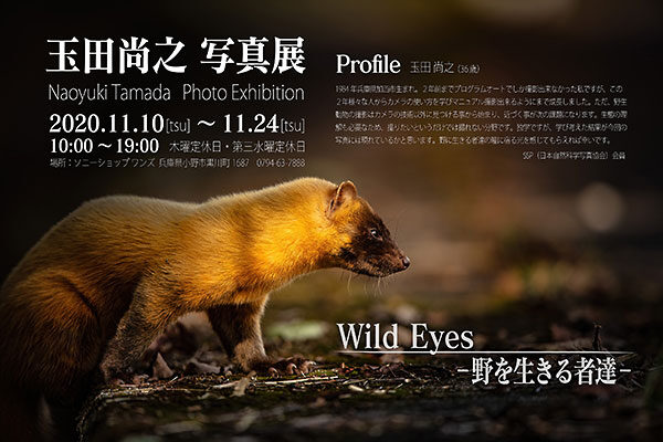 玉田尚之,写真展,Naoyuki Tamada,Wild Eyes,野を生きる者達,ソニー,α＜アルファ＞