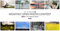 2020_11_17_sony_open_photocontest_01