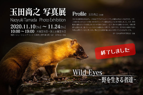 玉田尚之,写真展,wild eyes,野を生きる者達