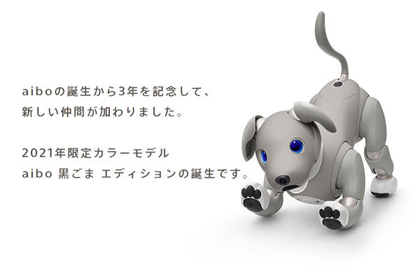 aibo,アイボ,黒ごまエディション