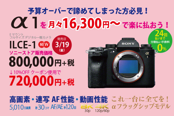 α1,a1,ilce-1,お得な買い方
