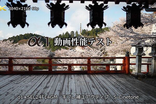 ILCE-1,α1,a1,動画性能,S-Cinetone,手ブレ補正アクティブ