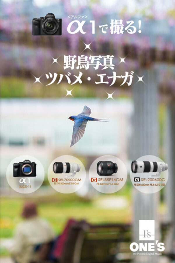 α1で撮る！,野鳥写真,ツバメ,エナガ,ilce-1,α1