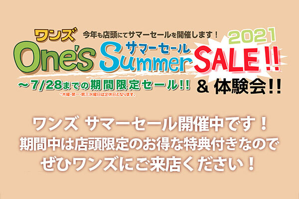 ソニーショップ,ワンズ