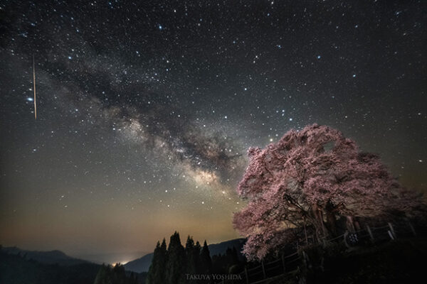 α＜アルファ＞で撮る！,醍醐桜,天の川