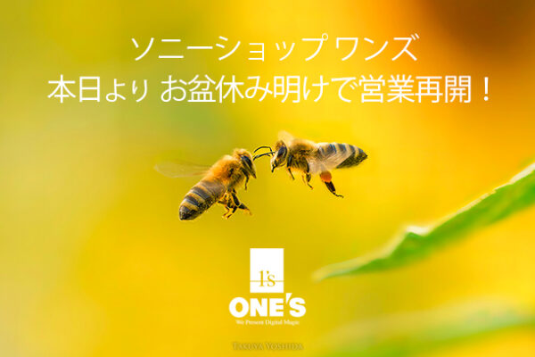 ソニーショップ,ワンズ