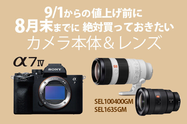 ソニーストア,値上げ
