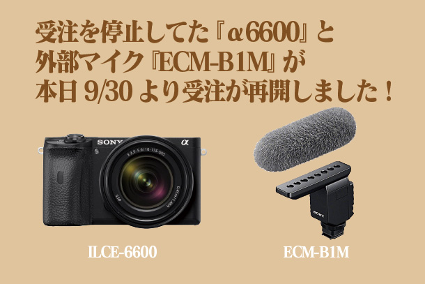 α6600,ILCE-6600,ECM-B1M