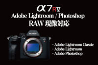 α7RV,ILCE-7RM5,RAW現像,Adobe,Lightroom,photosop