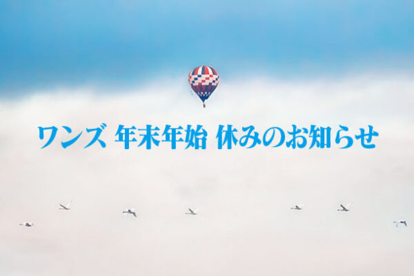 ソニーショップ,ワンズ