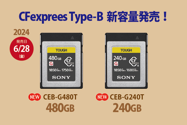 CFexpress Type-B,CEB-G480T,CEB-G240T