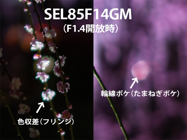 SEL85F14GM2,スペックレビュー,FE 85mm F1.4 GM2,GMレンズ,2型,Gマスター,sony,alpha,α