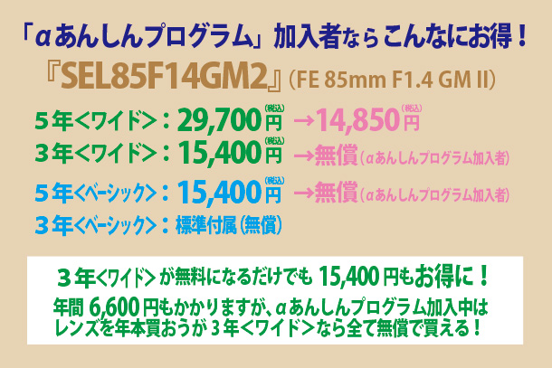 SEL85F14GM2,FE 85mm F1.4 GM2,GMレンズ,2型,Gマスター,sony,alpha,α,お得な買い方