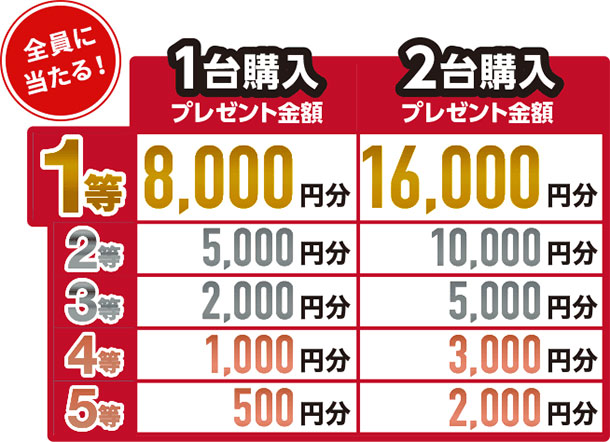 冬の音ロトキャンペーン,ソニーストア