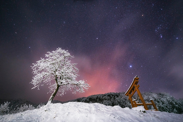 SEL1224GM,SEL14F18GM,星景写真,kenko,リアプロソフトン,レビュー