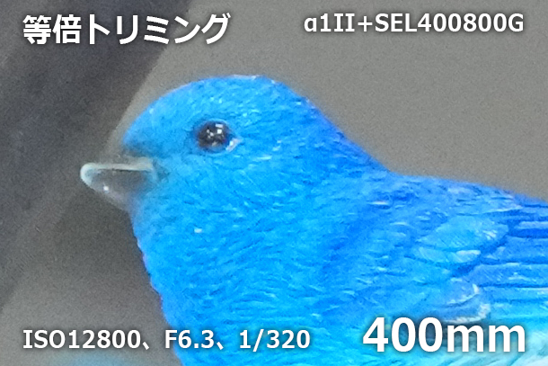 CP+2025,ソニーブース,実機レポート,SEL400800G,SEL16F18G,Gレンズ,レンズ体験レポート