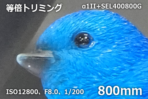 CP+2025,ソニーブース,実機レポート,SEL400800G,SEL16F18G,Gレンズ,レンズ体験レポート