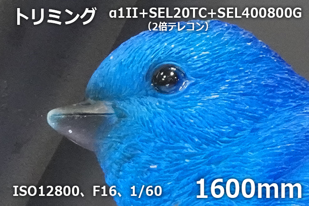 CP+2025,ソニーブース,実機レポート,SEL400800G,SEL16F18G,Gレンズ,レンズ体験レポート