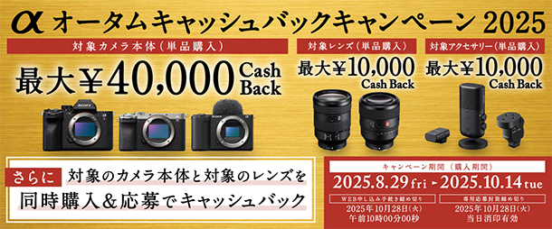 αオータムキャッシュバックキャンペーン,デジタル一眼カメラ