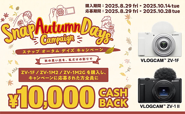 大満足セットSONY α550❤️軽量＆快適操作♪撮影の幅が広がる一眼レフ❤️ デジタル一眼カメラα（アルファ） | ソニー