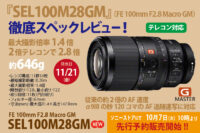 FE 100mm F2.8 Macro GM OSS,SEL100M28GM,マクロレンズ,スペックレビュー