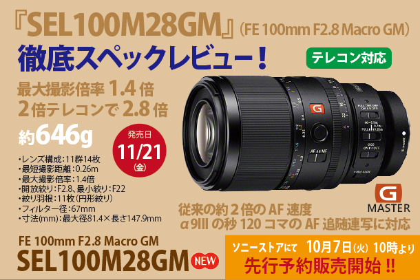 FE 100mm F2.8 Macro GM OSS,SEL100M28GM,マクロレンズ,スペックレビュー