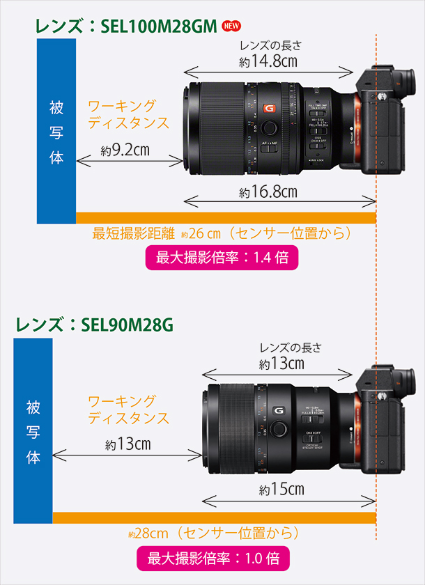 FE 100mm F2.8 Macro GM OSS,SEL100M28GM,マクロレンズ,スペックレビュー