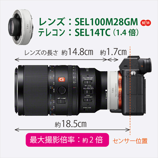 FE 100mm F2.8 Macro GM OSS,SEL100M28GM,マクロレンズ,スペックレビュー