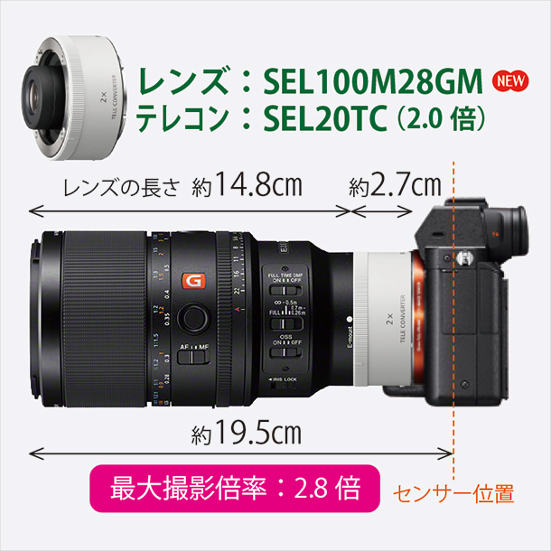 FE 100mm F2.8 Macro GM OSS,SEL100M28GM,マクロレンズ,スペックレビュー