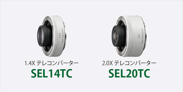 FE 100mm F2.8 Macro GM OSS,SEL100M28GM,マクロレンズ,スペックレビュー